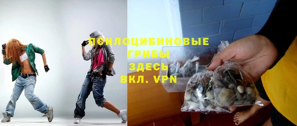 прущая мука Арсеньев